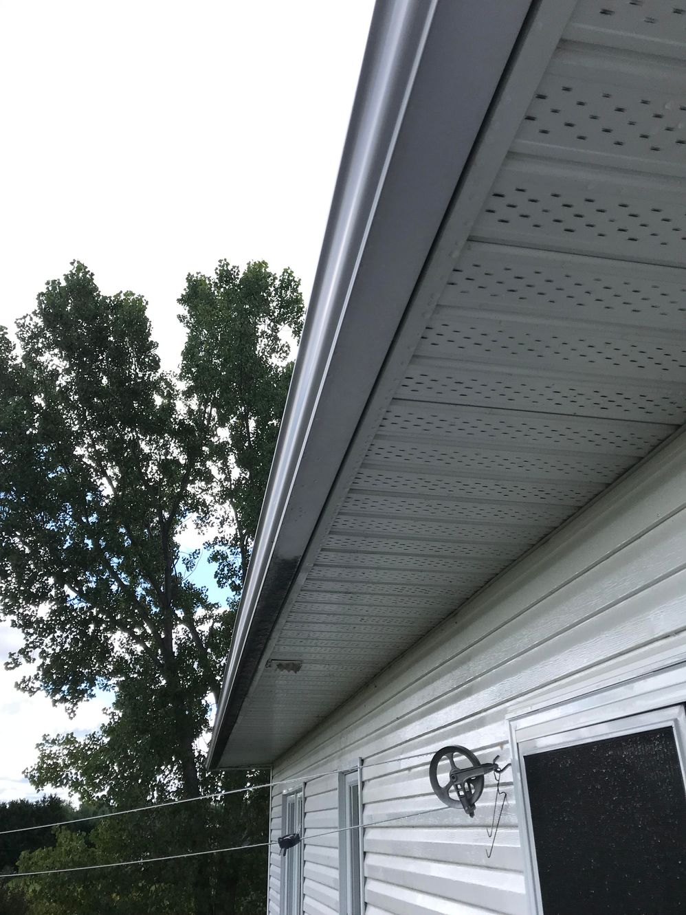 Gutter Cleaning 1