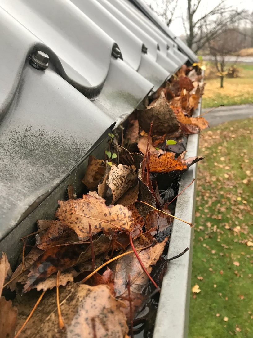 Eavestrough Cleaning Hamilton