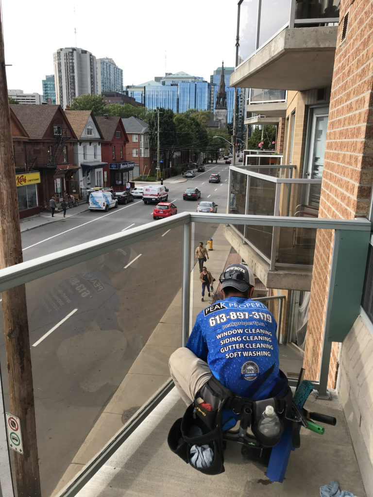 window cleaning orleans