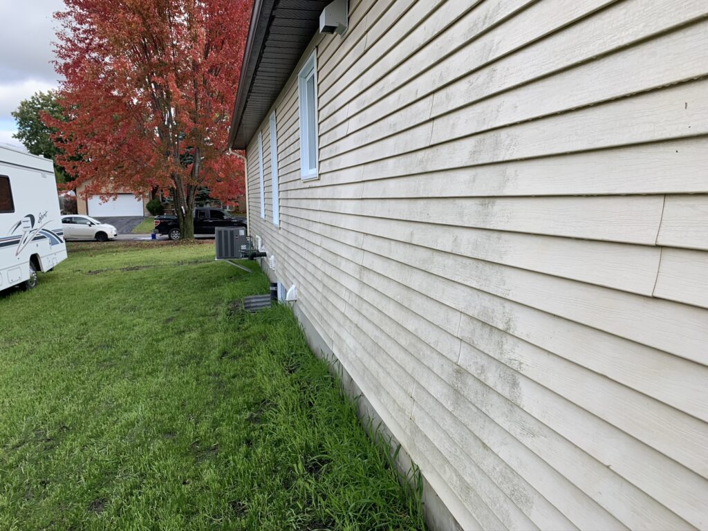 Vinyl Siding Cleaning 6