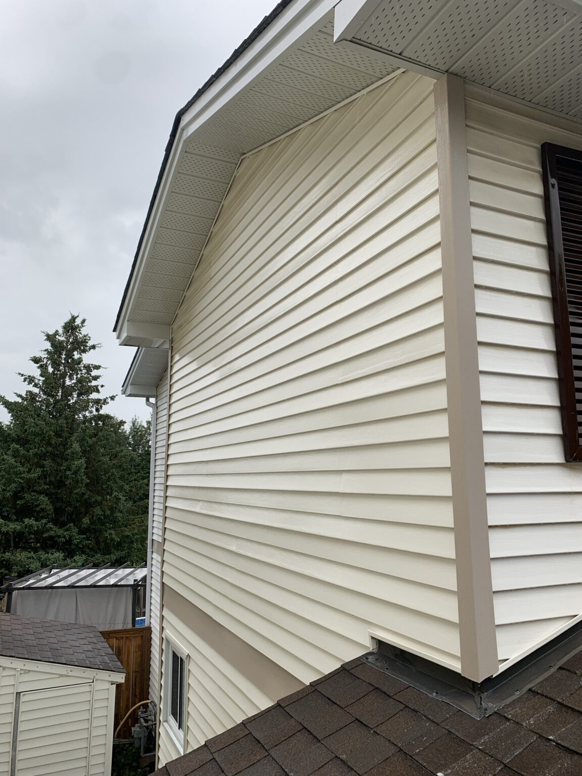 Vinyl Siding Cleaning 1