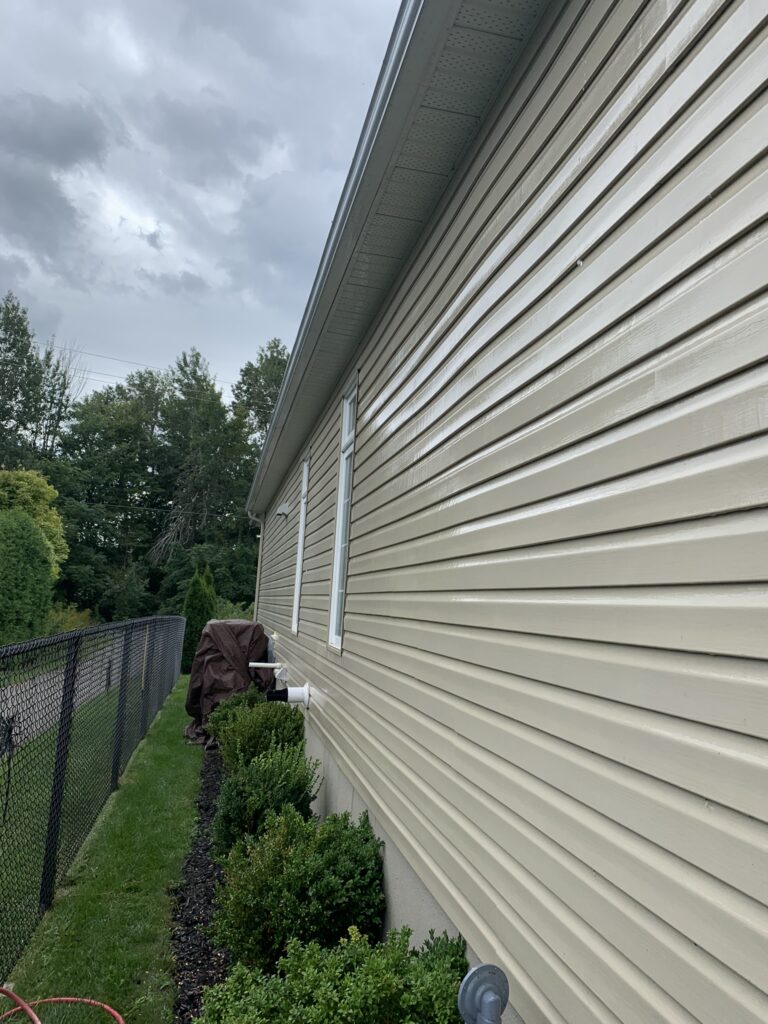 Vinyl Siding Cleaning 4